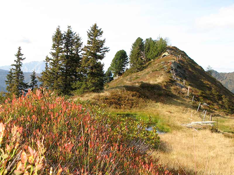 schoberspitze